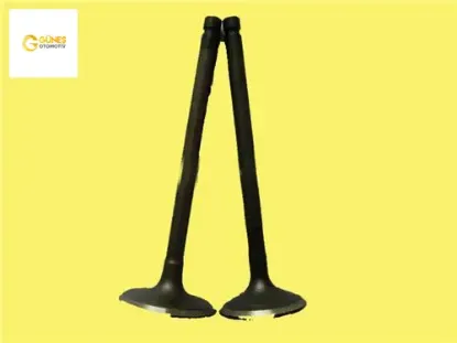 Subap takımı emme egzoz vectra a-b-astra f-astra g-omega b 1.8i-2.0i-2.5i 16v ın-8/ex-8 x20xev x18xe güneş 90412277/ 641022/ 90410813/ 641325 resmi