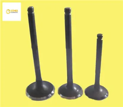 Subap emme egzoz vectra 1.8-astra 2.0i-omega 8v ın-4/ex-4 güneş 642667/ 642829 resmi