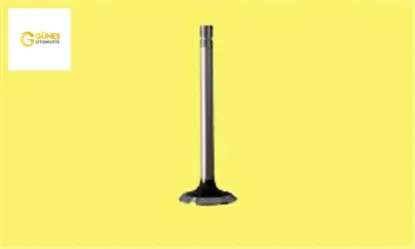 Subap emme egzoz c3-107-207-307 1.4i 16v ın-8/ex-8 güneş 0948.C8/ 0949.C4 resmi