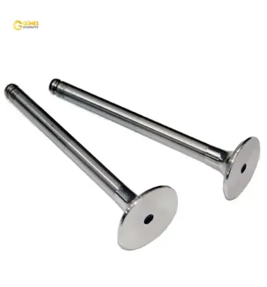 Subap emme egzoz kng-exp-r19 f8q-mgn-lgn 1.9 00 ın-4/ex-4 güneş 7701471704/ 7701471705 resmi