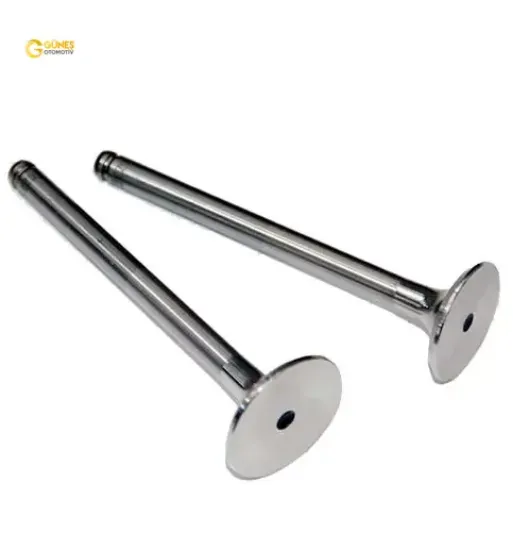 Subap emme egzoz kng-exp-r19 f8q-mgn-lgn 1.9 00 ın-4/ex-4 güneş 7701471704/ 7701471705 resmi