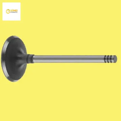 Emme egzoz subap takımı polo-cordoba-fabıa 1.6 aee alm güneş 032109601g/ 032109611g resmi