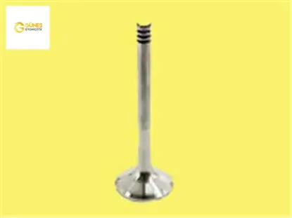 Emme egzoz subap takımı passat-golf5-jetta-a3-leon 2.0 tdı bkd bkp blb bmn bmr bna bre brf bve güneş 03g109601b/ 03g109601d resmi