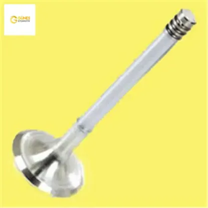 Emme egzoz subap takım polo-golf4-5-jetta-passat-tıguan ahw-bby-bky-bag-blf-blp-bmy-bcb-cava-caxa güneş  resmi