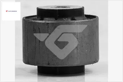 Salıncak burcu büyük alt fıesta vı 08 14 hutchınson 8v513051bb/ / 8v513042bb resmi