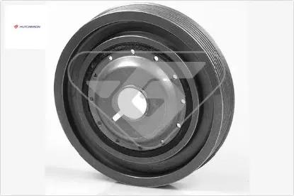 Krank kasnağı clıo ıı-ııı-ıv kangoo-megane ıı-ııı-ıv talısman symbol ıı-ııı  qashqaı ıı-pulsar-juke hutchınson 123031777r/ 123030453r/ 8200477938 resmi