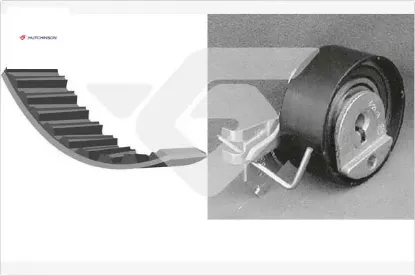 Eksantrik gergi kiti 104x170 106-206-207-306-307-bıpper-partner-berlıngo-c2-nemo-fıorıno 1.4-1.4i hutchınson 9400831869/ 0831.87/ 0831.S0/ 0831.86 resmi