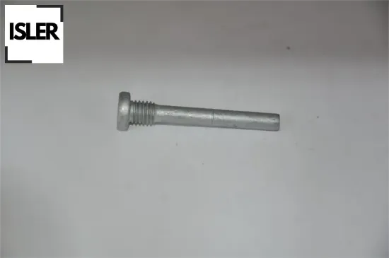 Kapı menteşe pimi perçinli r9-r11-r19-mgn-clıo-exp ısler 7701675675 resmi