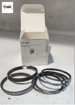 Motor segmanı r12 1400 76.00 çap std pergelli ıthal 6000790507 resmi