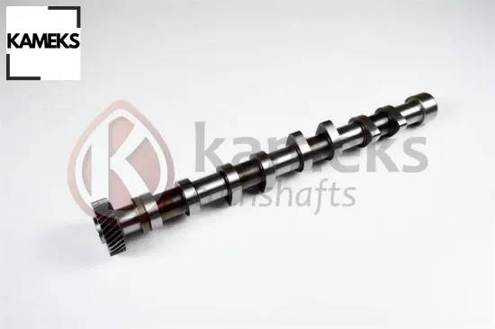 Eksantrik mili emme std corsa c astra g astra h merıva a y17dt z17dth çelik kameks 0636027/ 97111166 resmi