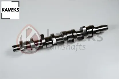 Eksantrik mili passat caddy t5 a3 1.9 tdı axb axc avf awx bjb bkc döküm kameks 038109101r/ 1100669 resmi