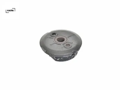 Arka makas burcu on transıt v363 14 kautek bk215781bc/ 1838741 resmi