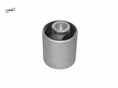 Salıncak burcu on alt buyuk w202 s202 r170 kautek a2023336414 resmi