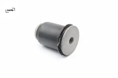 Salıncak burcu onun arkası s-class w140 c140 kautek a1403331814 resmi