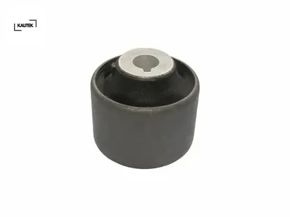 Salıncak burcu t5 04- buyuk kautek 7h0407182a resmi