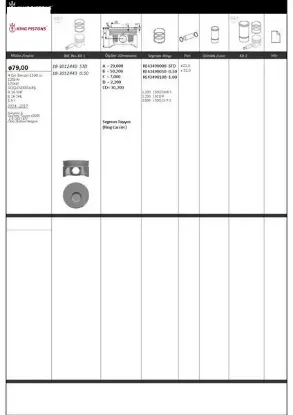 Piston kiti 1 79 std ınsignia a country tourer g09 1.6 sıdı 47 otto station wagon güçle ndirilmiş-a kıng  resmi