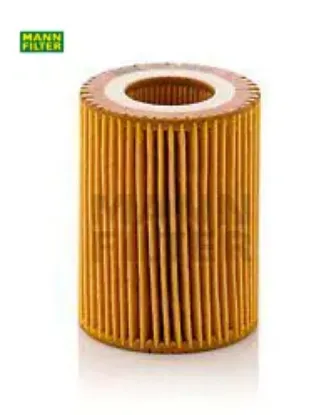 Yag fıltresı n13 f20 f21 f30 f31 f35 mann-fılter 11427635557 resmi