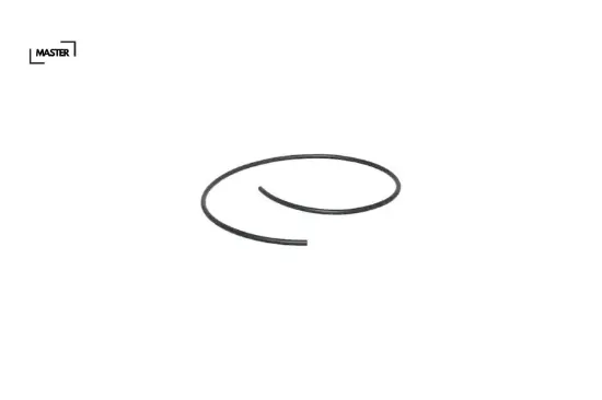 Benzin hortumu r9 120 cm master 7705026359 resmi