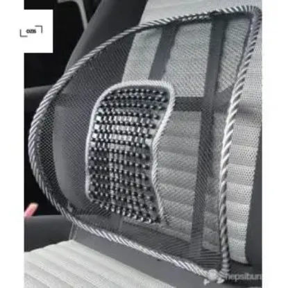 Sırtlık çıtalı siyah kartal ozıs  resmi