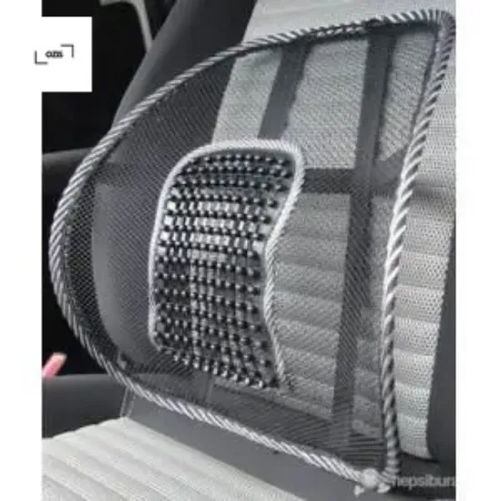 Sırtlık çıtalı siyah kartal ozıs  resmi