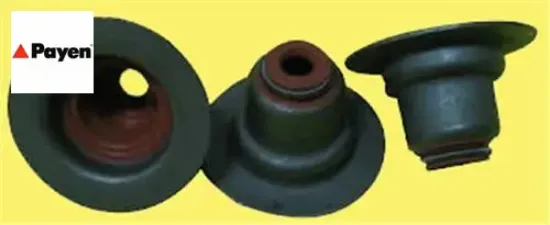 Subap lastıgı 16 li set renault clıo ı ı-ııı 1.4 1.6 16v k4m 99 kangoo megane ıı 1.6 16v payen 7700103938 resmi