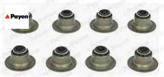 Subap lastiği set 200 220gsi 220t 420 620 820 2.0 dıscovery 2.0 93-98 payen ljq100560b/ cdu3860 resmi