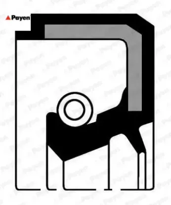 Krank kapak keçesi r12-r9-r11-r19 1.6 payen 7703087097/ 3277158/ 32771583 resmi