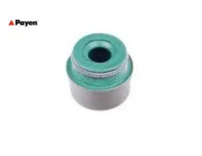 Subap lastiği clıo-kng-mgn-scenıc-twng 1.5dci k9k - polo-a4- 1.4-2.5-2.8 16v 6 mm dizel payen 9400956389/ 636533 resmi