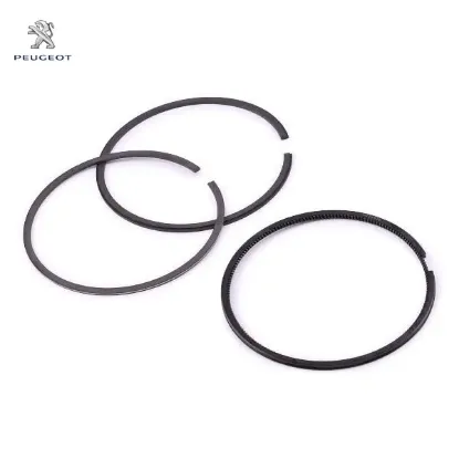 Sekman takım peugeot  resmi