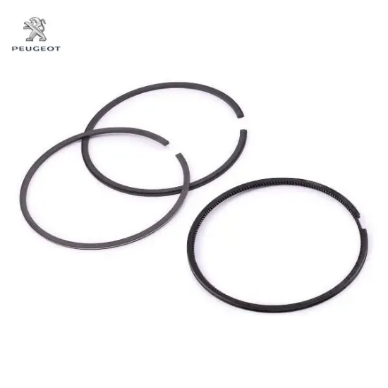 Sekman takım peugeot  resmi