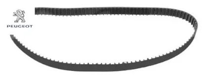 Trıger kayısı peugeot  resmi