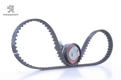 Triger tamir kiti peugeot e118425 resmi