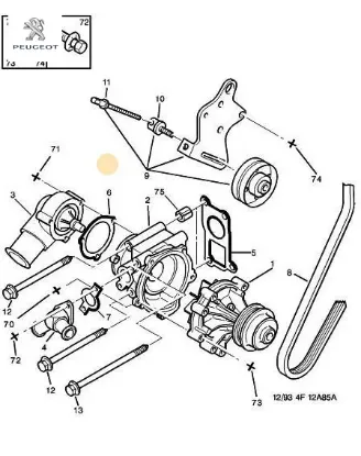 Termostat contası peugeot  resmi