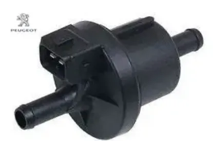 Kanıster musır c4 peugeot  resmi