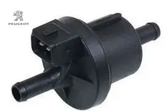 Kanıster musır c4 peugeot  resmi