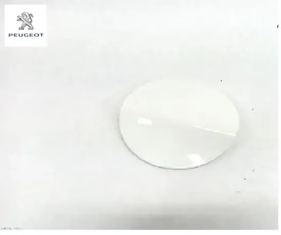 Depo dıs kapak c4 ıı peugeot  resmi