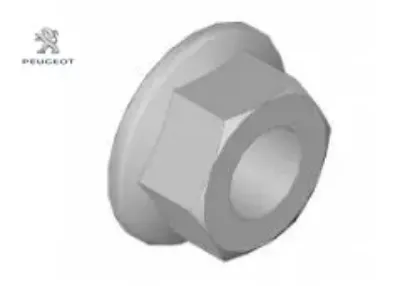 Somun peugeot  resmi