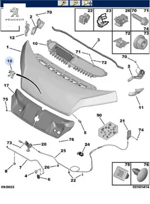 Ön aslan amblemi boxer ııı peugeot  resmi