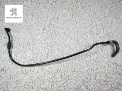 Egsoz fap hortumu peugeot  resmi