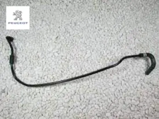 Egsoz fap hortumu peugeot  resmi
