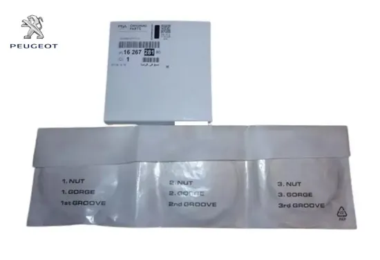 Sekman tk peugeot  resmi