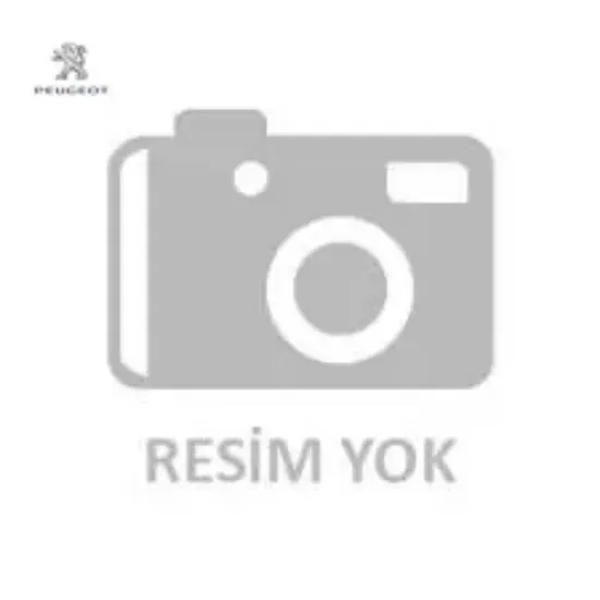 Ön fren disk aynası  207-208-307  yeni kod: 1647868480 peugeot 4249.83/ 1647868480 resmi