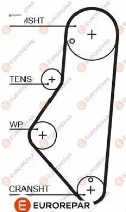 Erp triger kayışı(114 diş) peugeot 306 405 406 806 cıtroen xantıa xm 1.9 xu7jp eurorepar  resmi