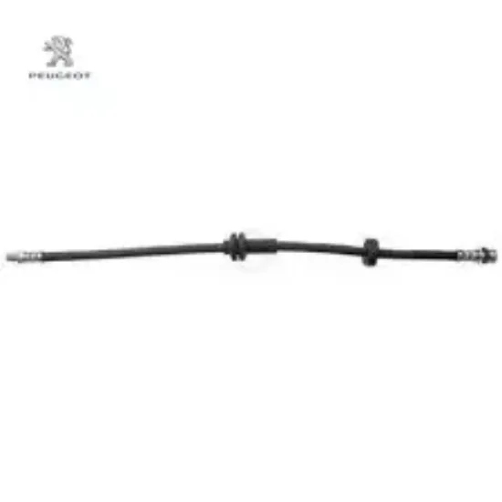 Fren esn hort peugeot  resmi