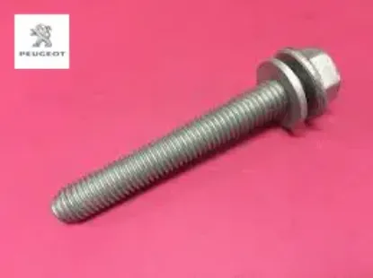 Motor kulak saplaması peugeot  resmi