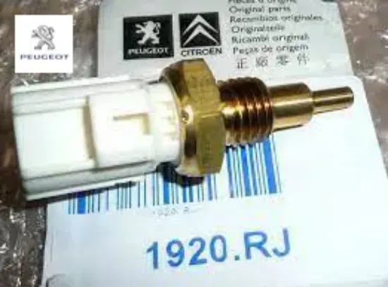 Hararet müşürü peugeot 1920.Rj resmi