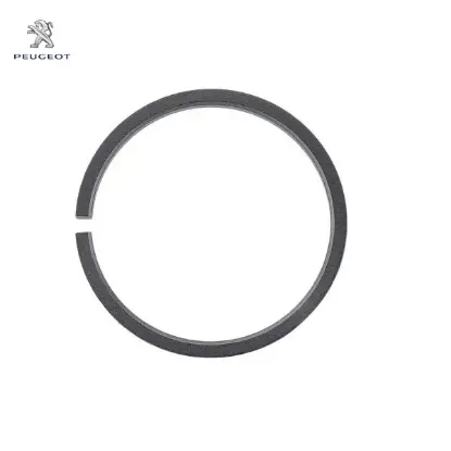 Segman peugeot  resmi