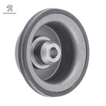 Otomatik şanzıman yay pistonu peugeot  resmi