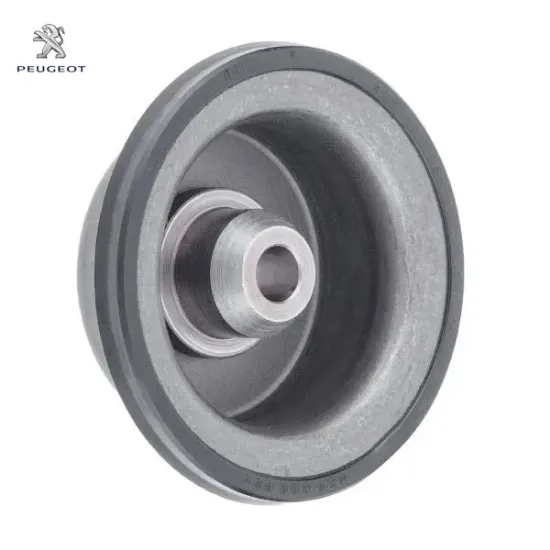 Otomatik şanzıman yay pistonu peugeot  resmi