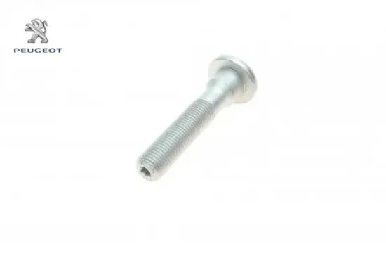 Kol tes cıv peugeot  resmi